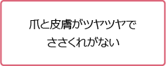 爪と皮膚がツヤツヤでささくれがない