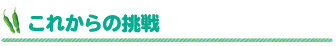 これからの挑戦