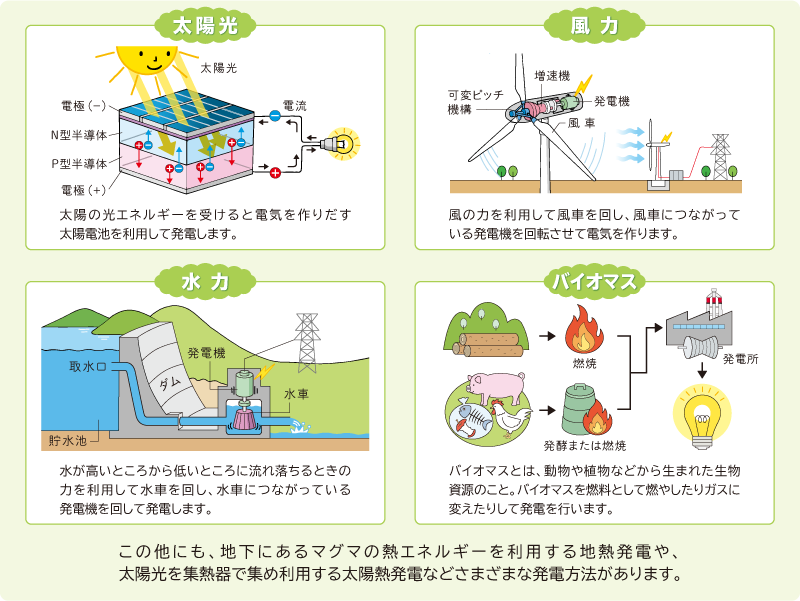 太陽光
太陽の光エネルギーを受けると電気を作りだす太陽電池を利用して発電します。
風力
風の力を利用して風車を回し、風車につながっている発電機を回転させて電気を作ります。
水力
水が高いところから低いところに流れ落ちるときの力を利用して水車を回し、水車につながっている発電機を回して発電します。
バイオマス
バイオマスとは、動物や植物などから生まれた生物資源のこと。バイオマスを燃料として燃やしたりガスに変えたりして発電を行います。
この他にも、地下にあるマグマの熱エネルギーを利用する地熱発電や、
太陽光を集熱器で集め利用する太陽熱発電などさまざまな発電方法があります。