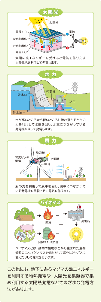 太陽光
太陽の光エネルギーを受けると電気を作りだす太陽電池を利用して発電します。
風力
風の力を利用して風車を回し、風車につながっている発電機を回転させて電気を作ります。
水力
水が高いところから低いところに流れ落ちるときの力を利用して水車を回し、水車につながっている発電機を回して発電します。
バイオマス
バイオマスとは、動物や植物などから生まれた生物資源のこと。バイオマスを燃料として燃やしたりガスに変えたりして発電を行います。
この他にも、地下にあるマグマの熱エネルギーを利用する地熱発電や、
太陽光を集熱器で集め利用する太陽熱発電などさまざまな発電方法があります。