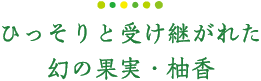 ひっそりと受け継がれた幻の果実・柚香