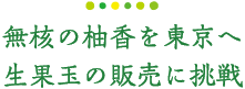 無核の柚香を東京へ 生果玉の販売に挑戦