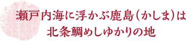 瀬戸内海に浮かぶ鹿島（かしま）は北条鯛めしゆかりの地