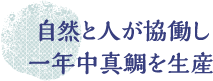 自然と人が協働し一年中真鯛を生産