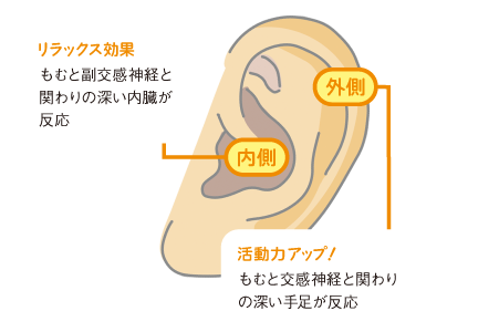 リ内側 ラックス効果 もむと副交感神経と関わりの深い内臓が反応 外側 活動力アップ! もむと交感神経と関わりの深い手足が反応