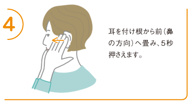 4.耳を付け根から前(鼻の方向)へ畳み、5秒押さえます。