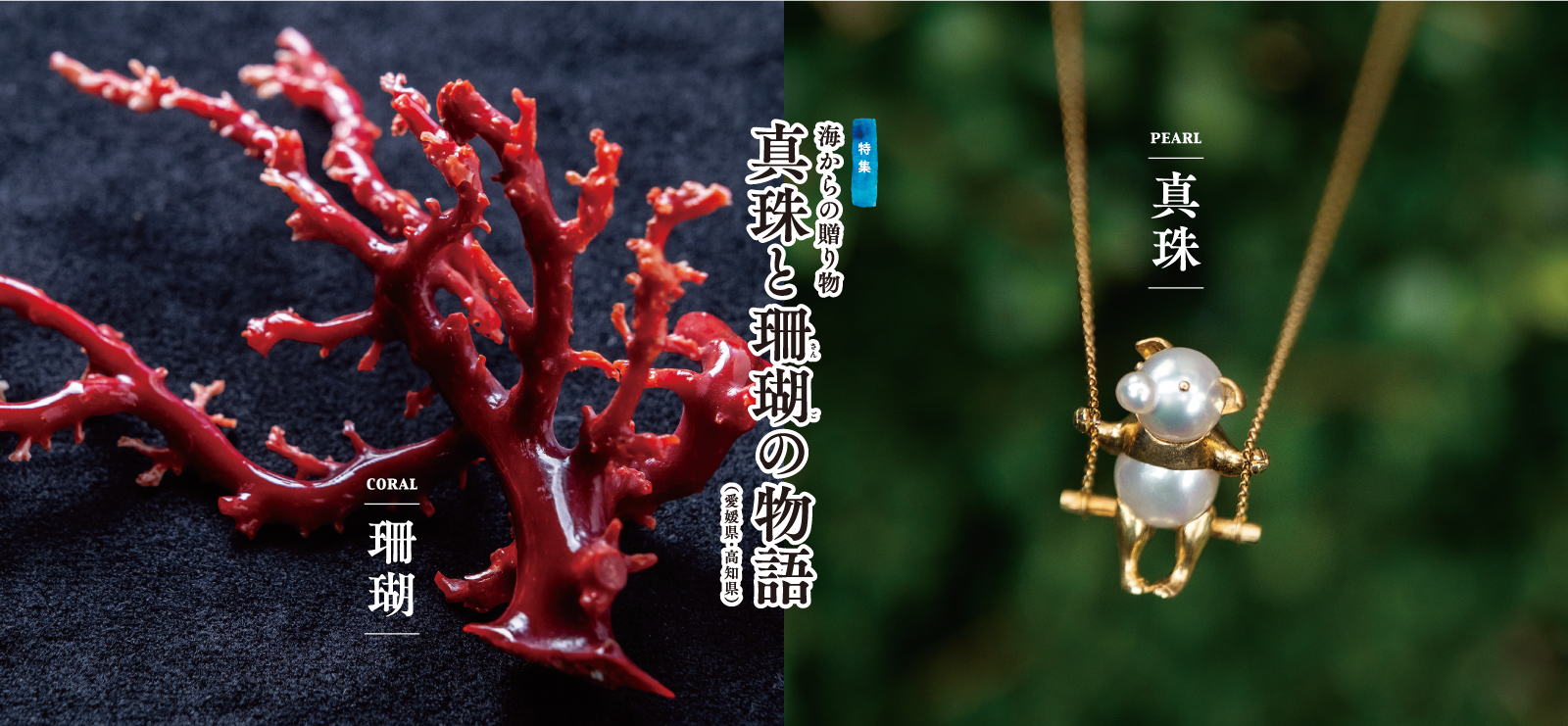 海からの贈り物真珠と珊瑚の物語（愛媛県・高知県）