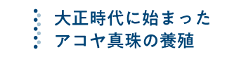 大正時代に始まったアコヤ真珠の養殖