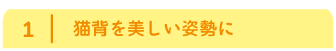 猫背を美しい姿勢に