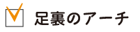 足裏のアーチ