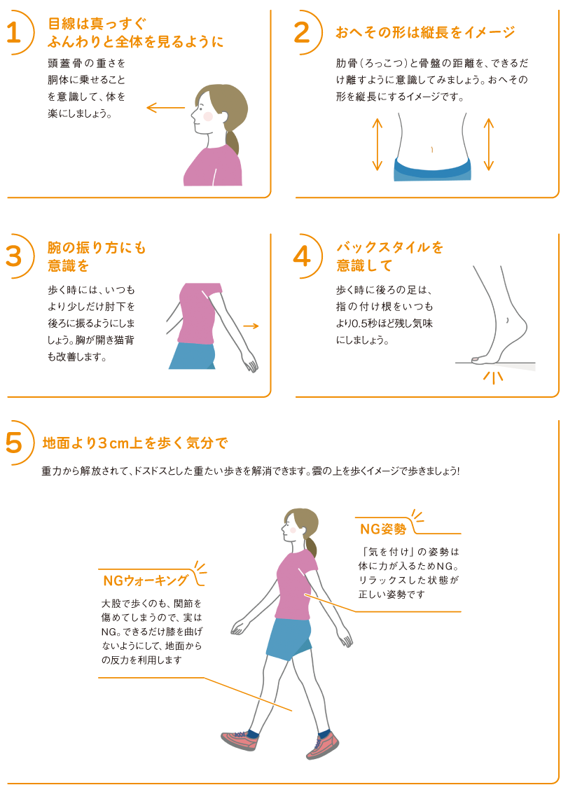 1目線は真っすぐふんわりと全体を見るように
頭蓋骨の重さを胴体に乗せることを意識して、体を楽にしましょう。
2おへその形は縦長をイメージ
肋骨（ろっこつ）と骨盤の距離を、できるだけ離すように意識してみましょう。おへその形を縦長にするイメージです。

3腕の振り方にも意識を
歩く時には、いつもより少しだけ肘下を後ろに振るようにしましょう。胸が開き猫背も改善します。

4バックスタイルを意識して
歩く時に後ろの足は、指の付け根をいつもより0.5秒ほど残し気味にしましょう。

5地面より３cm上を歩く気分で
重力から解放されて、ドスドスとした重たい歩きを解消できます。雲の上を歩くイメージで歩きましょう！
NGウォーキング
大股で歩くのも、関節を傷めてしまうので、実はNG。できるだけ膝を曲げないようにして、地面からの反力を利用します
NG姿勢
「気を付け」の姿勢は体に力が入るためNG。リラックスした状態が正しい姿勢です