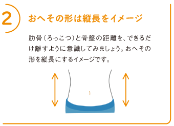 2おへその形は縦長をイメージ
肋骨（ろっこつ）と骨盤の距離を、できるだけ離すように意識してみましょう。おへその形を縦長にするイメージです。