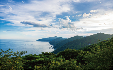 佐田岬半島