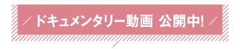 ドキュメンタリー動画 公開中！