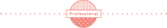 professional