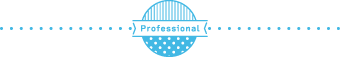 professional