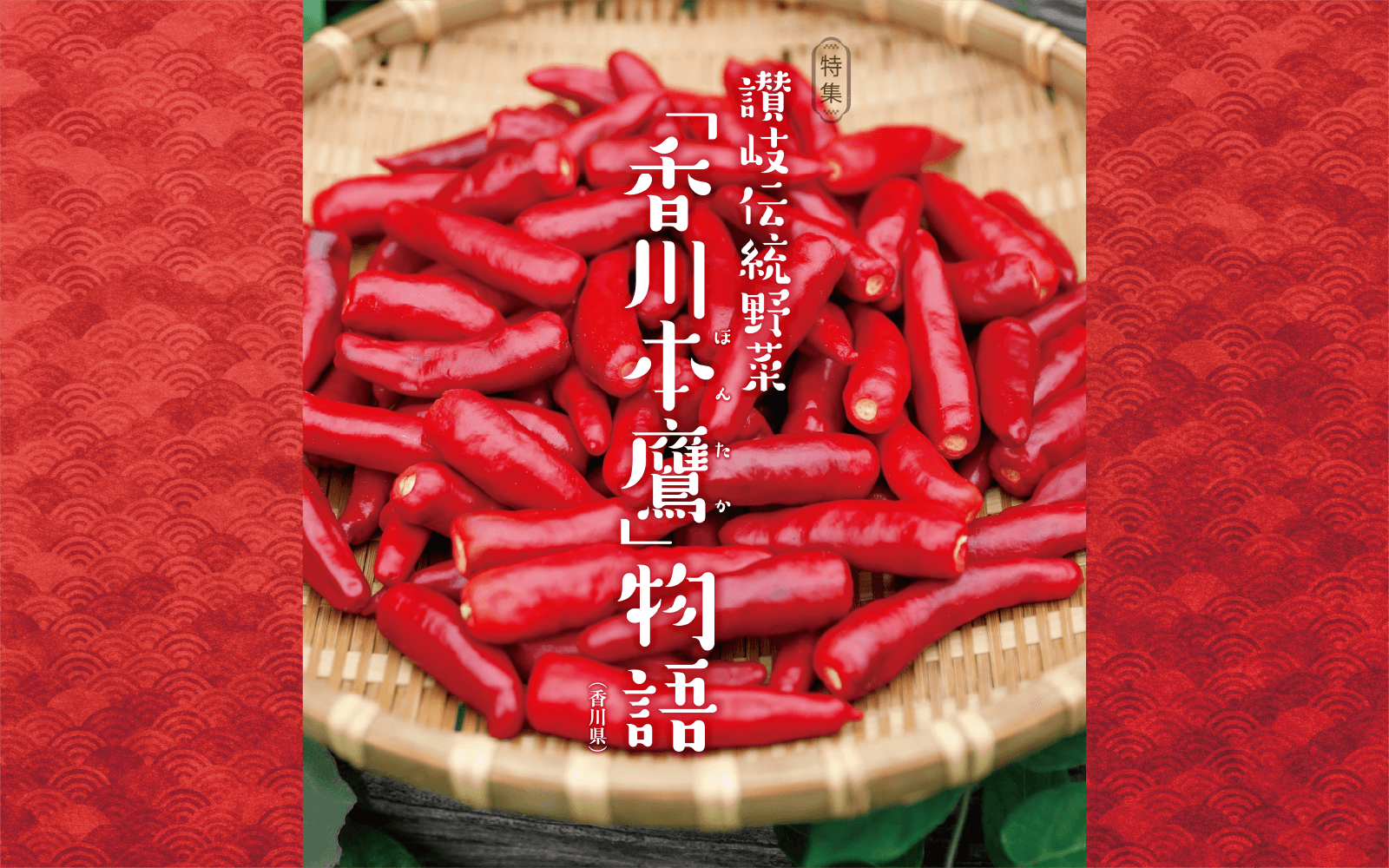 讃岐伝統野菜「香川本鷹（ほんたか）」物語（香川県）