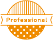 professional