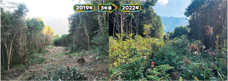 2019年 3年後 2022年