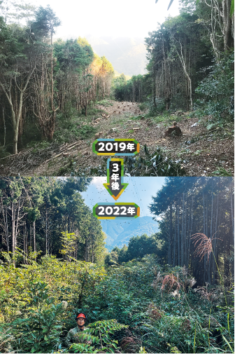 2019年 3年後 2022年