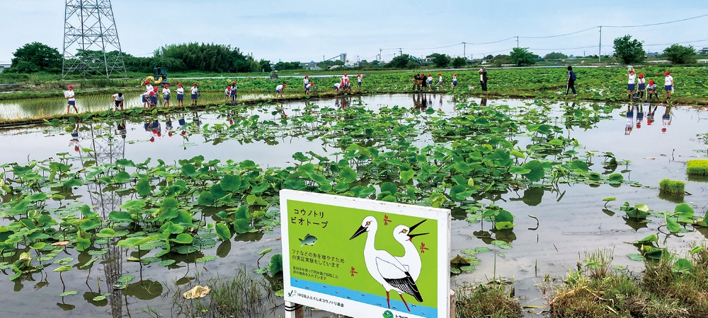 環境学習の一環でビオトープを訪れる地元の小学生