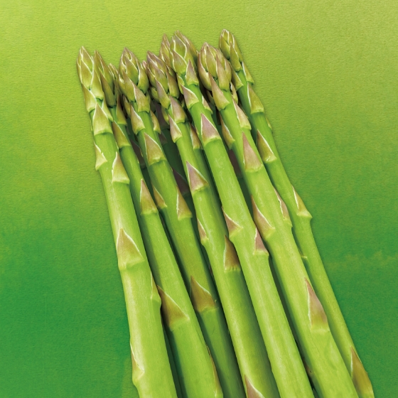 さぬき名物 「アスパラガス」を愛する人たちを訪ねて