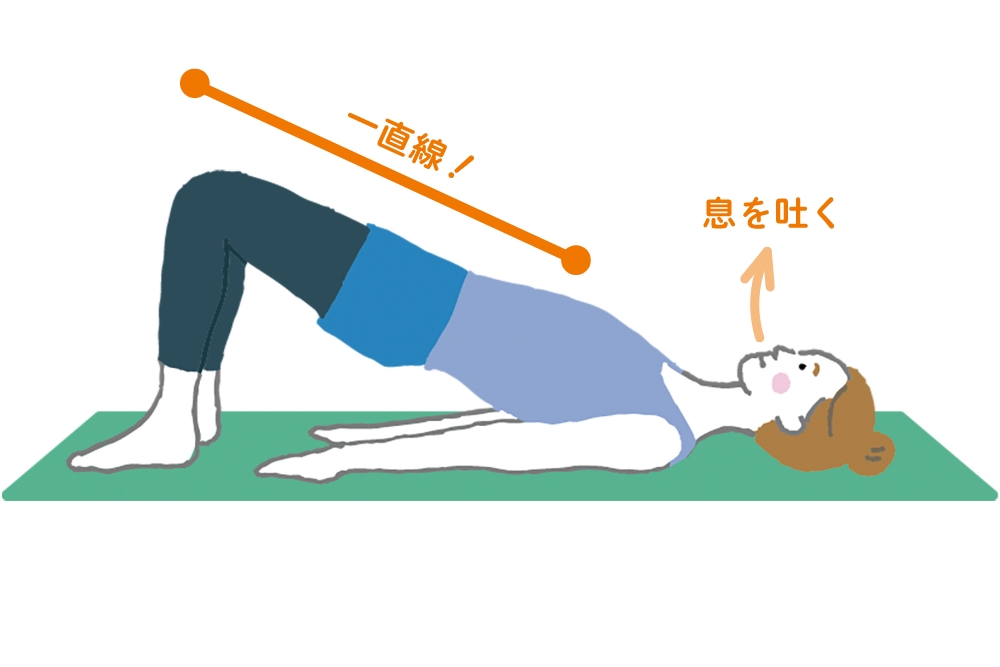 2. 口から息を吐きながら、お尻をゆっくりと持ち上げ、みぞおちから膝までを一直線にします。