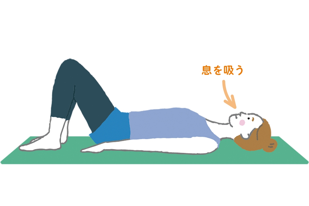 3. 鼻から息を吸いながら、元の姿勢に戻ります。