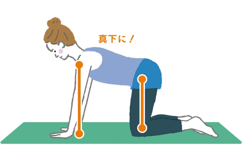 1. 四つん這いになり、肩の真下に手首、股関節の真下に膝をつきます。