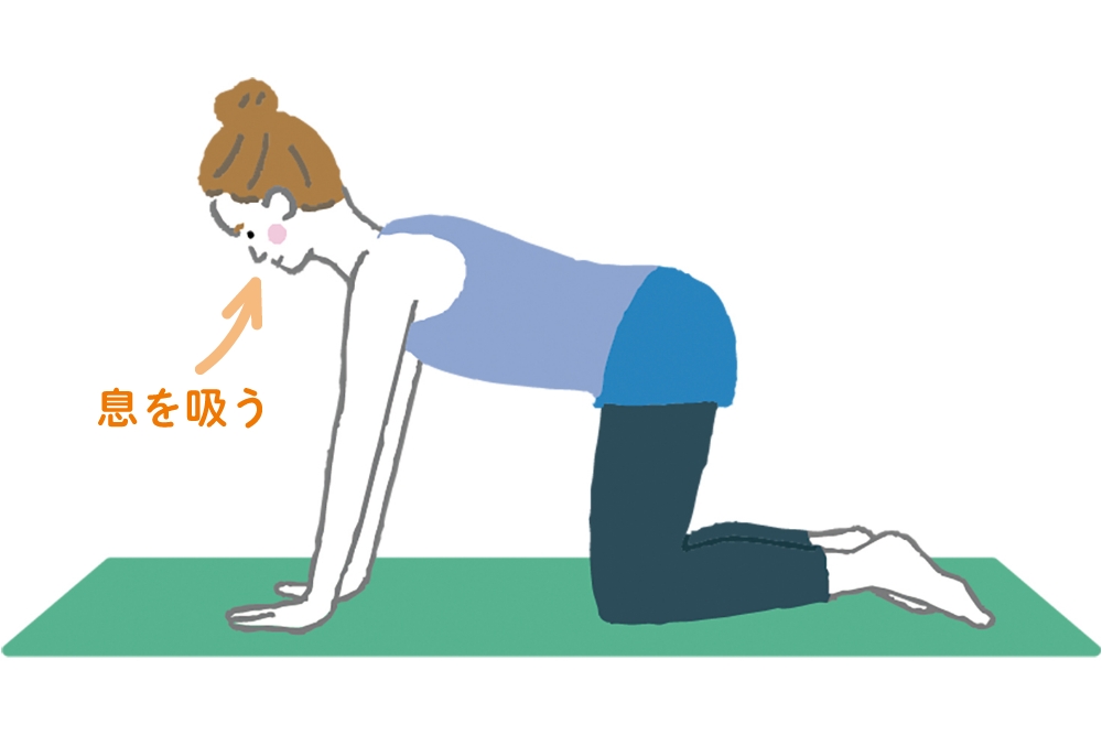3. 鼻から息を吸いながら、元の姿勢に戻ります。