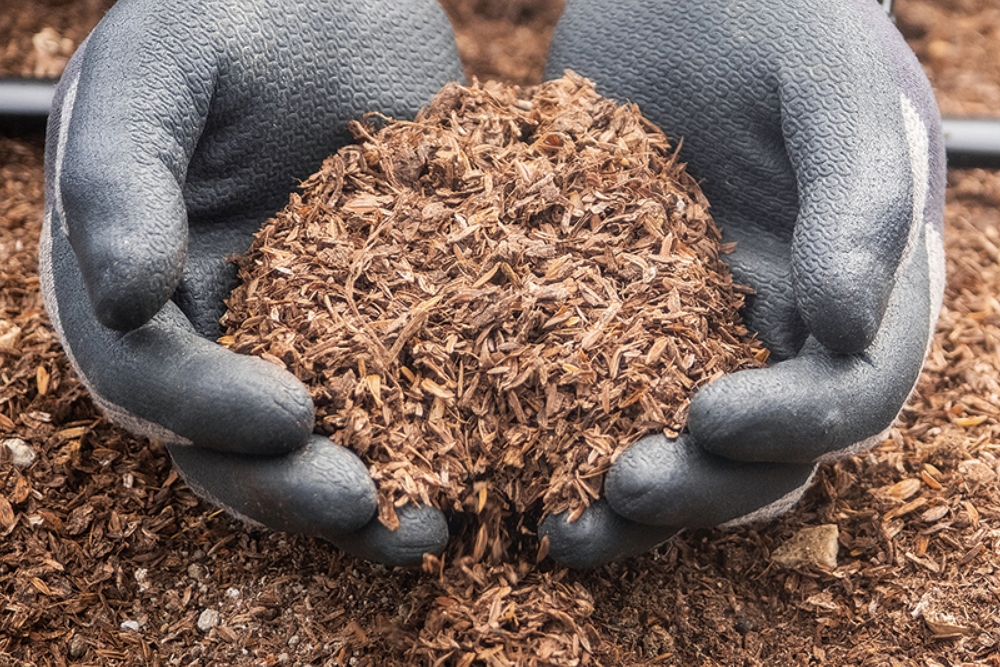 土づくりを大切にしている山下さん。独自のやり方を追求し、栄養分などを加えながらやわらかい土に仕上げている