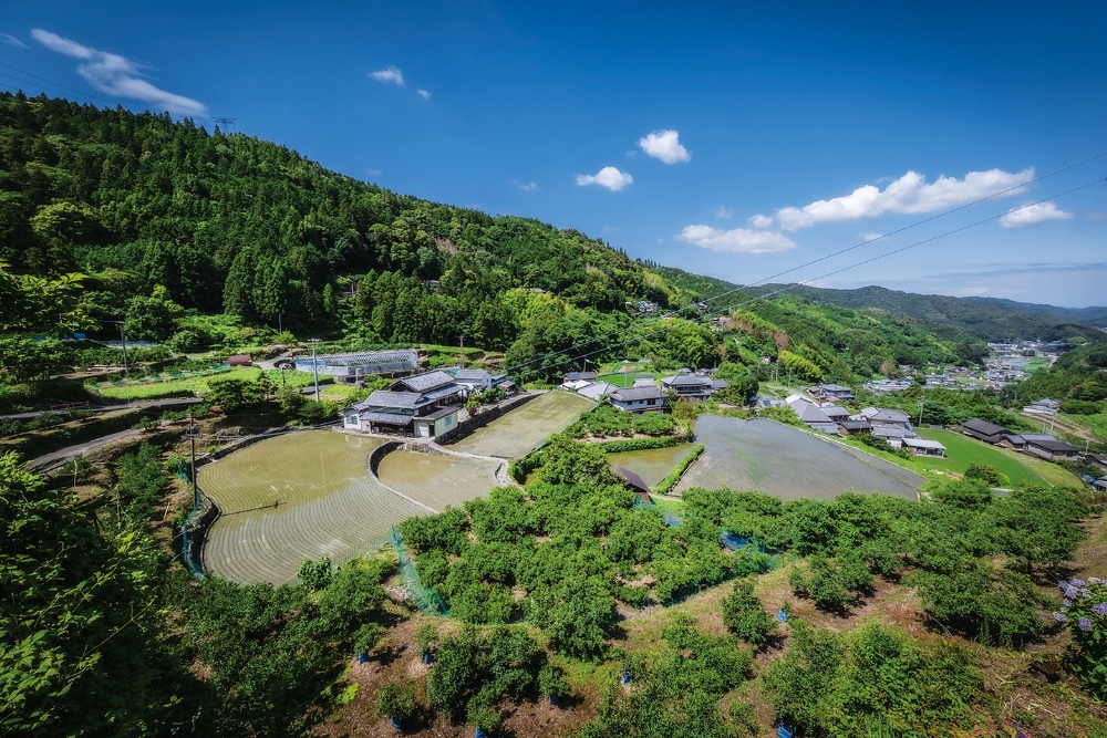 日本の原風景を思わせる府能(ふのう)地区。一帯の土壌はミネラル豊富な粘土質の赤土層に恵まれており、稲作に適している