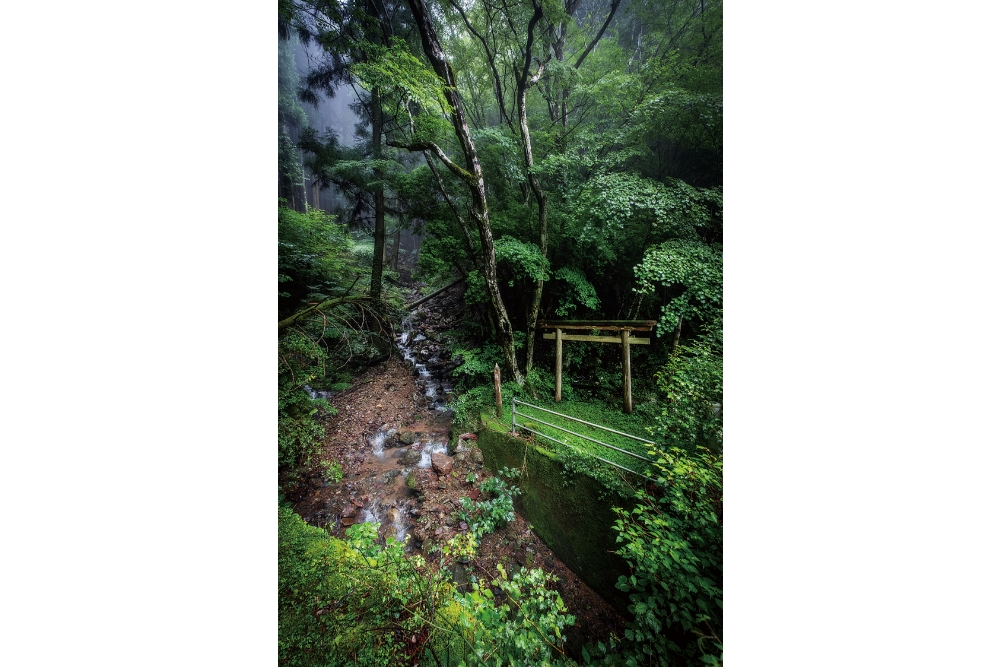 佐那河内村を源流に、徳島市内で新町川と合流する園瀬川。その水源地には水波能売(みずはのめ)神社の鳥居があり、荘厳な雰囲気