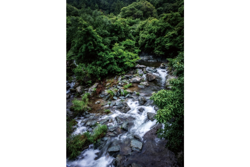 園瀬川の支流、嵯峨川の上流にあるのは奇岩が転がる嵯峨峡。嵯峨川は子どもたちの水遊びの場でもある