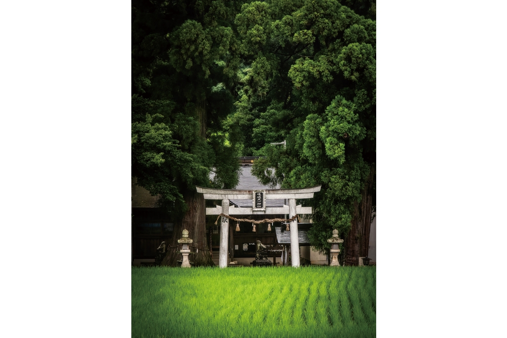 812年(弘仁3)に天照大神や月讀命(つきよみのみこと)、大白星神を勧請したと伝承されている嵯峨天一神社。他にも村内には古寺社が多数ある