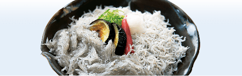 ジャンピングふるさと画像