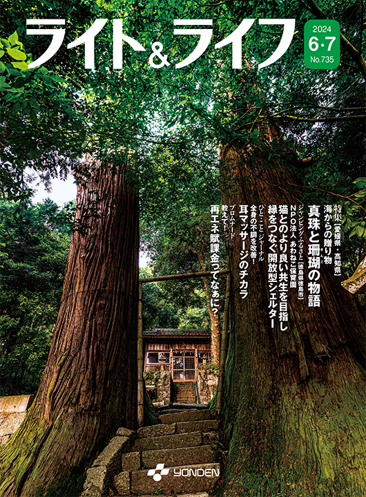 表紙画像