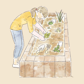 省スペースで手軽にできるはじめてのキッチンガーデン