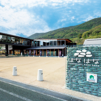 次世代エネルギーの活用と人と人との交流を図るモデルケース