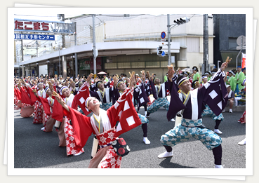 よさこい祭り