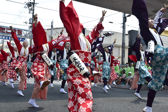 よさこい祭り