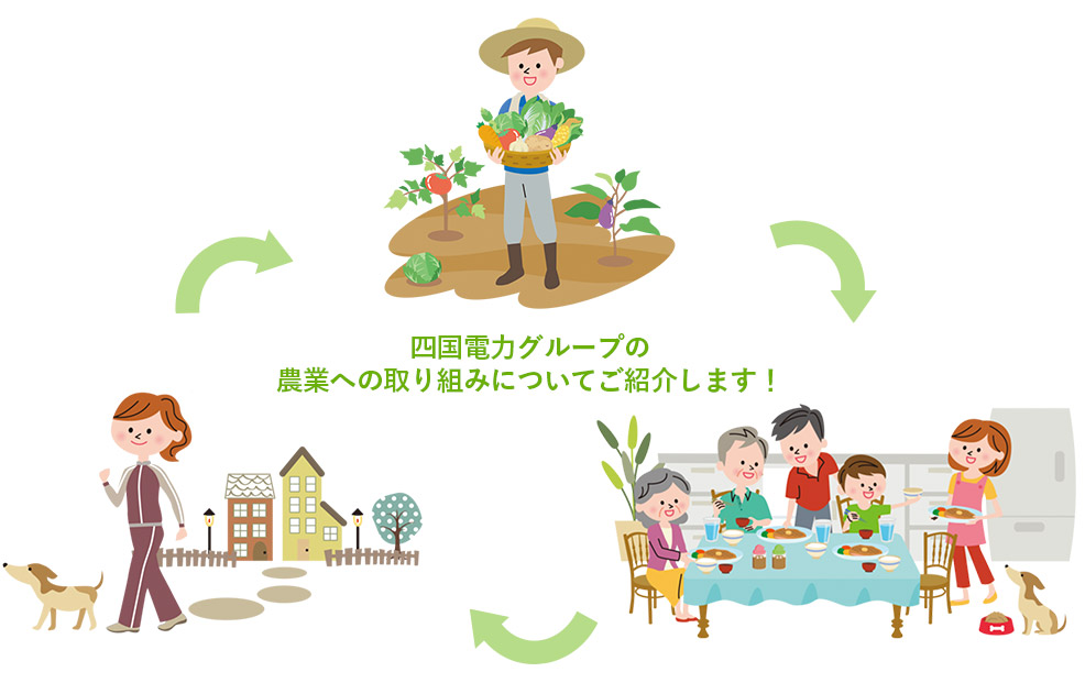 四国電力グループの農業への取り組みについてご紹介します！