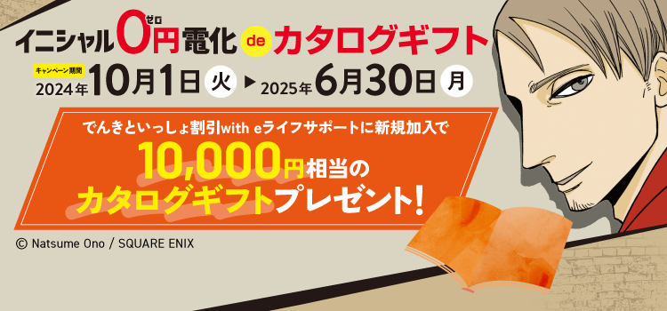 イニシャル0円電化deカタログギフト