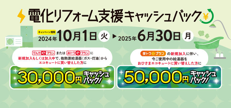 電化リフォーム支援キャッシュバック