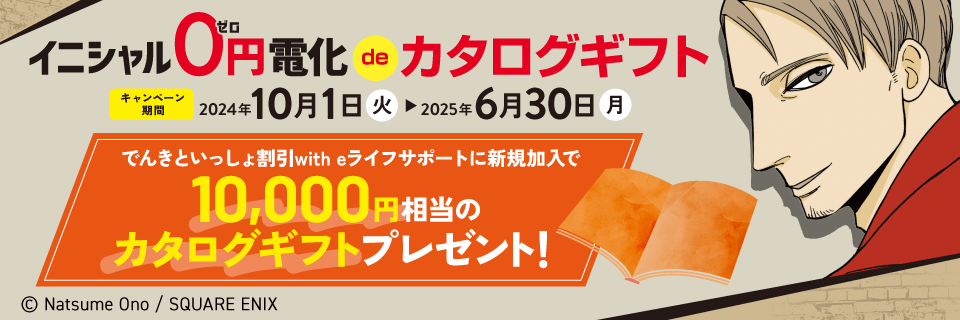 イニシャル0円電化deカタログギフト