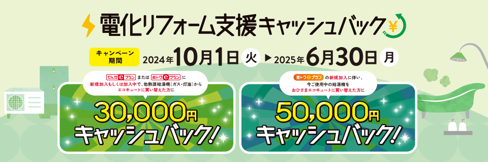 電化リフォーム支援キャッシュバック