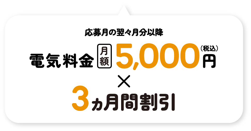 応募月の翌々月分以降 電気料金 月額5,000円（税込）3ヵ月間割引