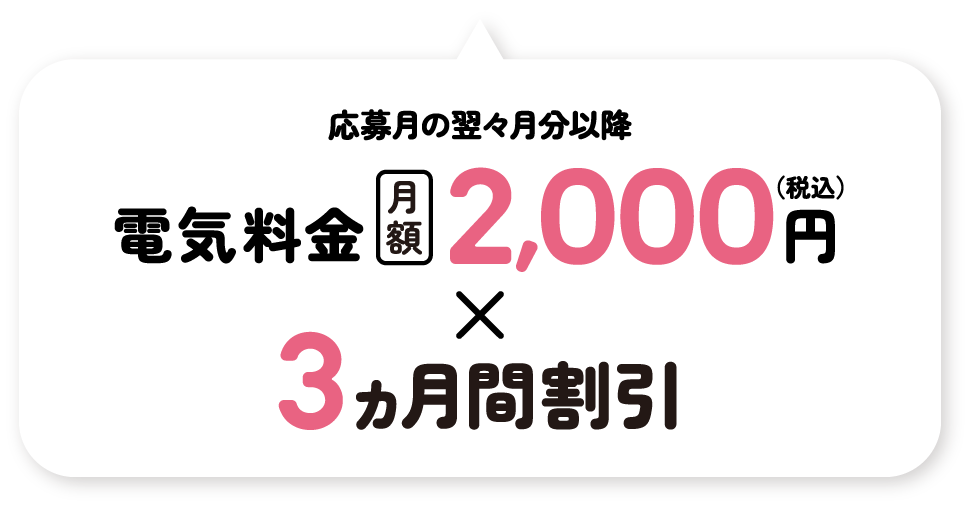 応募月の翌々月分以降 電気料金 月額2,000円（税込）3ヵ月間割引