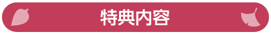 特典内容