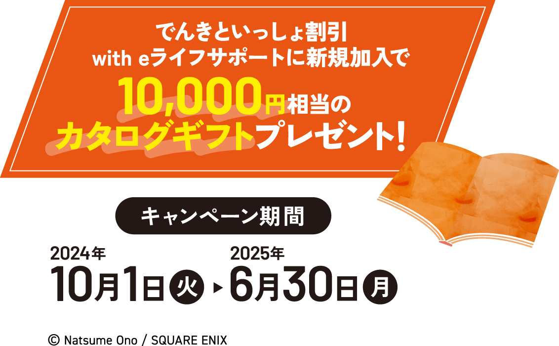でんきといっしょ割引 with eライフサポートに新規加入で10,000円相当のカタログギフトプレゼント！ キャンペーン期間 2024年10月1日（火）から2025年6月30日（月）
